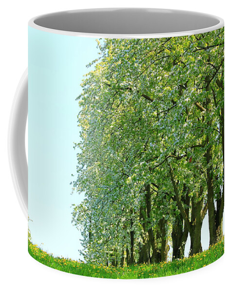 Autumn Coffee Mug featuring the photograph Alley of Trees by Amanda Mohler