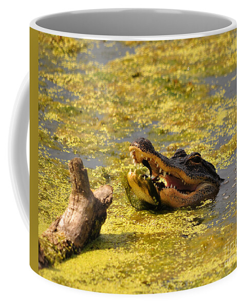Alligator Coffee Mug featuring the photograph Alligator Ambush by Al Powell Photography USA
