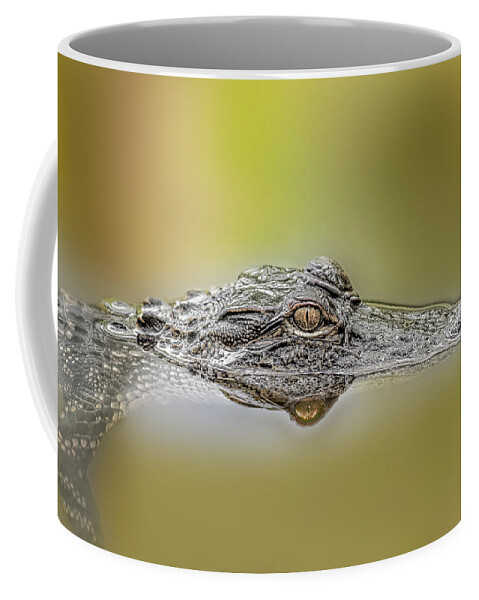 Aggression Coffee Mug featuring the photograph Alligator by Peter Lakomy