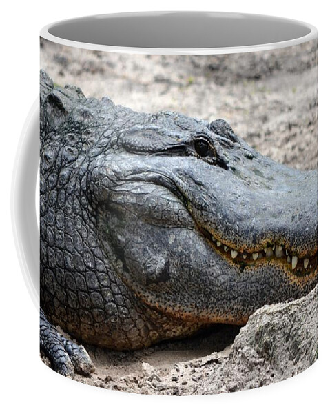 Alligator Coffee Mug featuring the photograph Alligator Smile by Richard Bryce and Family