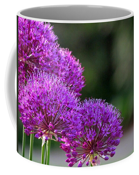 Allium Coffee Mug featuring the photograph Alliums by David T Wilkinson