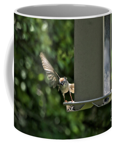 Animals Coffee Mug featuring the photograph Almost A Ruff Bird Landing by Thomas Woolworth
