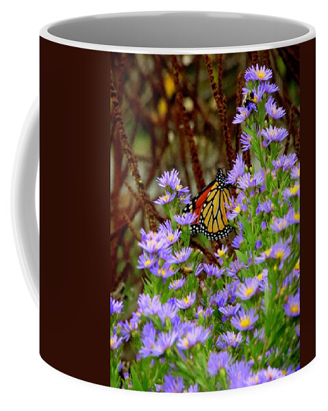 Butterfly Coffee Mug featuring the photograph Almost Hidden by Rodney Lee Williams
