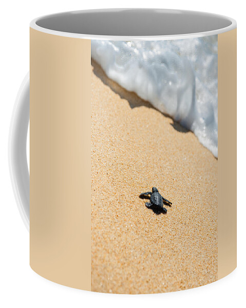 Beach Coffee Mug featuring the photograph Almost Home by Sebastian Musial