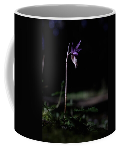 Calypso Orchid Coffee Mug featuring the photograph Alone in the Forest by Betty Depee