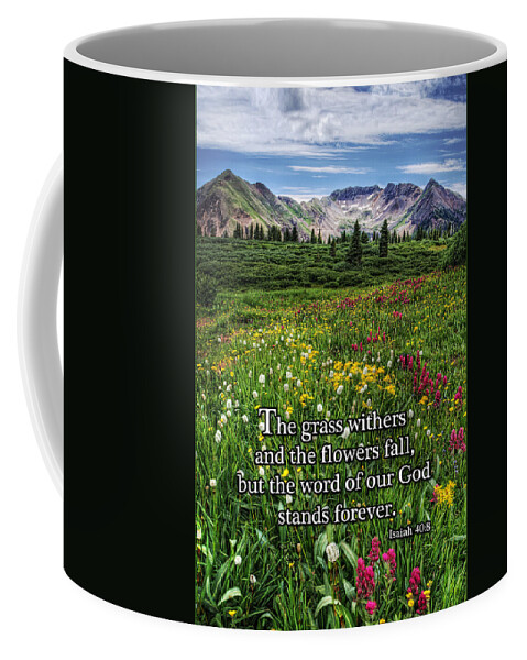 Alpine Meadow Coffee Mug featuring the photograph Alpine Meadow by Priscilla Burgers