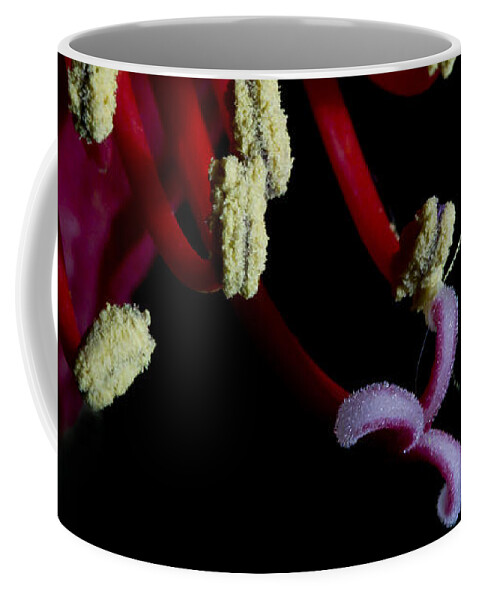 Leaves Coffee Mug featuring the photograph Amarilla Flower  #9398 by J L Woody Wooden