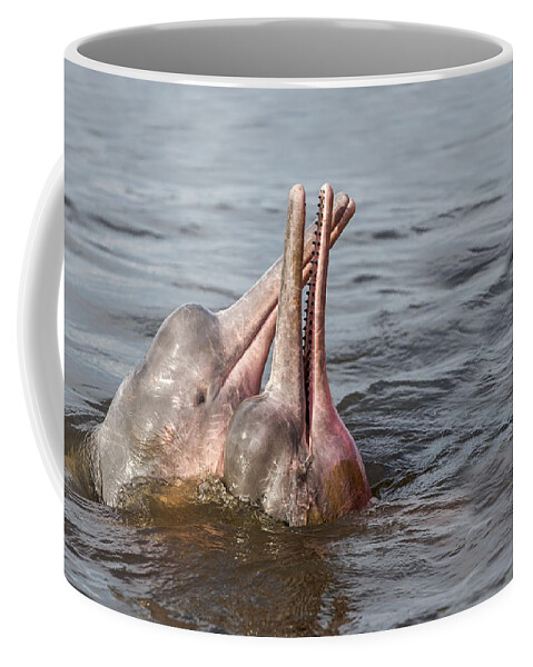 Amazon River Dolphin Coffee Mug featuring the photograph Amazon River Dolphins by M. Watson