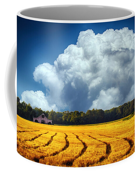 Grain Coffee Mug featuring the photograph Amber Fields by Barry Jones