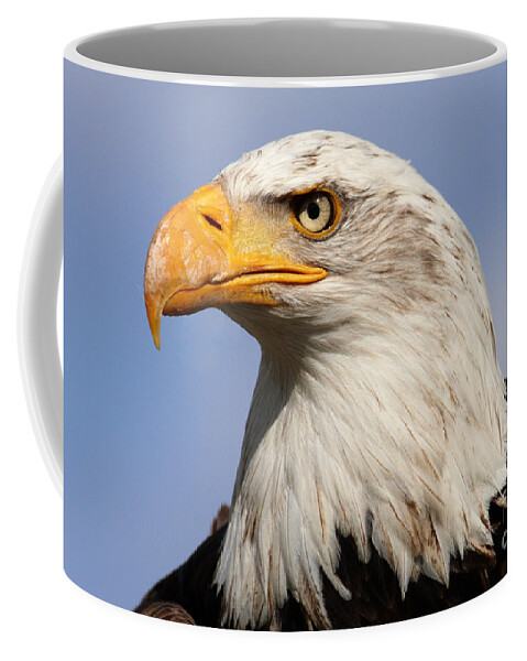 America Coffee Mug featuring the photograph American Bald Eagle by Nick Biemans