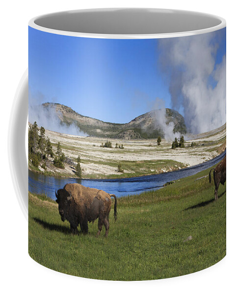 530445 Coffee Mug featuring the photograph American Bison Grazing Along Firehole by Duncan Usher