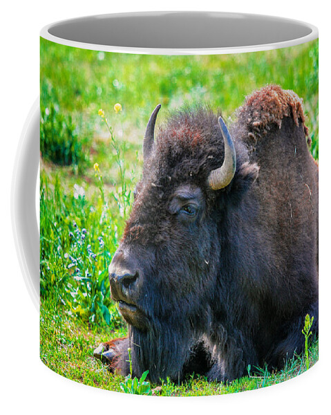 Bison Coffee Mug featuring the photograph American Bison by Juli Ellen
