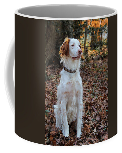 American Brittany Coffee Mug featuring the photograph American Brittany by Jemmy Archer