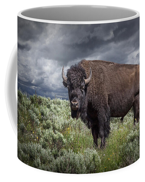 Bison Coffee Mug featuring the photograph American Buffalo or Bison in Yellowstone by Randall Nyhof