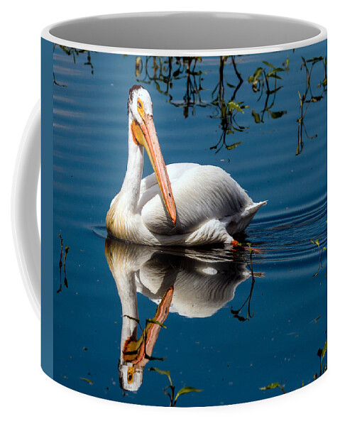 American White Pelican Coffee Mug featuring the photograph American White Pelican by Dawn Key