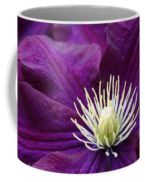 Clematis Coffee Mug featuring the photograph Amethyst Colored Clematis by Kay Novy