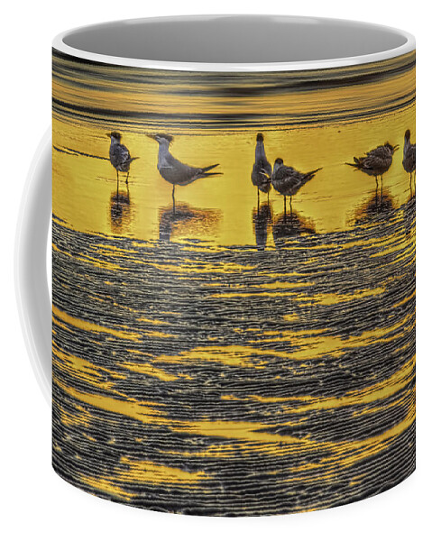 Royal Terns Coffee Mug featuring the photograph Among Friends by Marvin Spates