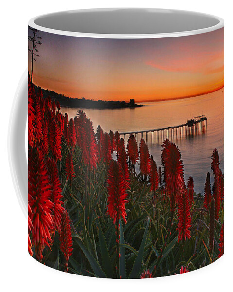 Landscape Coffee Mug featuring the photograph Among the Aloe by Scott Cunningham