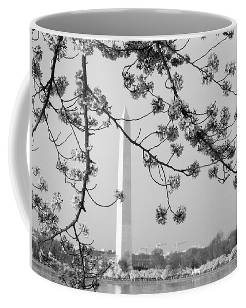 Amongst The Cherry Blossoms Coffee Mug featuring the photograph Amongst The Cherry Blossoms by Emmy Vickers