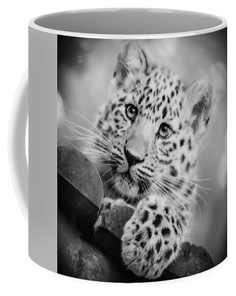 Amur Coffee Mug featuring the photograph Amur Leopard Cub Portrait by Chris Boulton