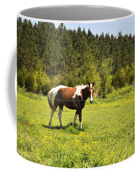 Horse Coffee Mug featuring the photograph An Alabama Horse by Verana Stark