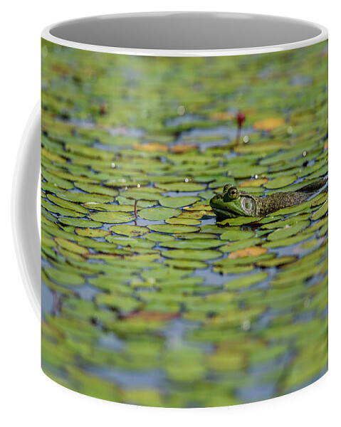 J. T. Nickel Family Nature And Wildlife Preserve Coffee Mug featuring the photograph An American Bullfrog Lithobates by Robert L. Potts