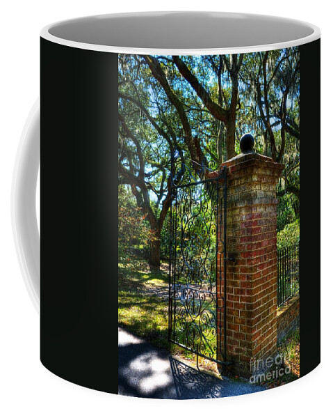South Carolina Coffee Mug featuring the photograph An Open Gate 2 by Mel Steinhauer