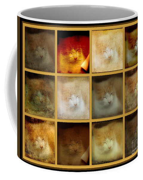 Cat Coffee Mug featuring the photograph An Ott's Cat Living A Greenhouse Cat's Life by Carol Senske