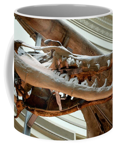 Dinosaur Coffee Mug featuring the photograph Ancient Crocodile Dinosaur by Kenny Glover