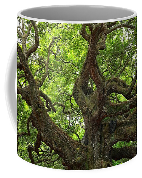 Angel Oak Coffee Mug featuring the photograph Angel Oak Branches by Adam Jewell