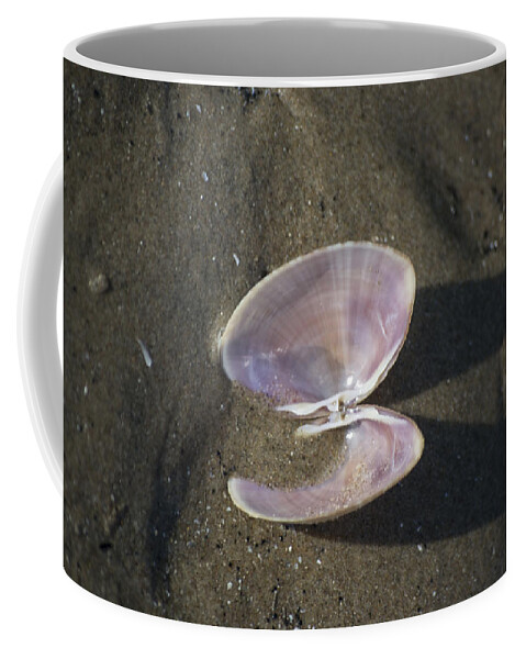 Sea Shell Coffee Mug featuring the photograph Angel Wings by Spikey Mouse Photography
