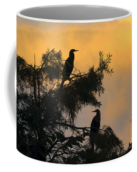 Nature Coffee Mug featuring the photograph Anhingas by Mark Newman