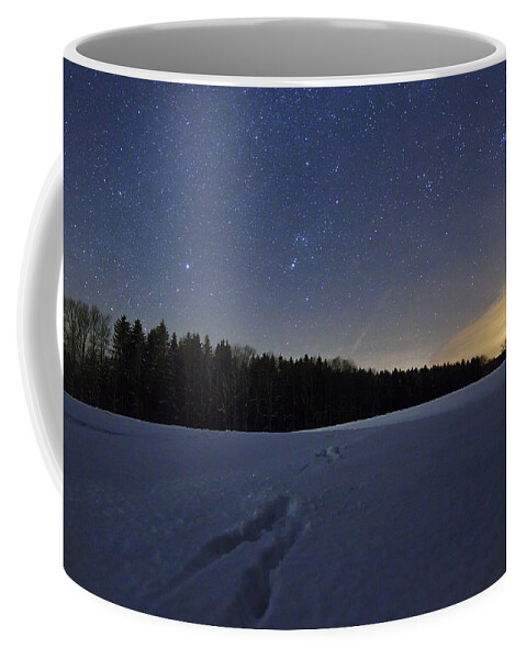 Feb0514 Coffee Mug featuring the photograph Animal Tracks In Snow Bavaria Germany by Konrad Wothe