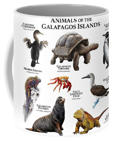 Animal Coffee Mug featuring the photograph Animals Of The Galapagos Islands by Roger Hall