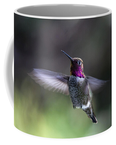 Hummingbird Coffee Mug featuring the photograph Annas Hummingbird by Betty Depee