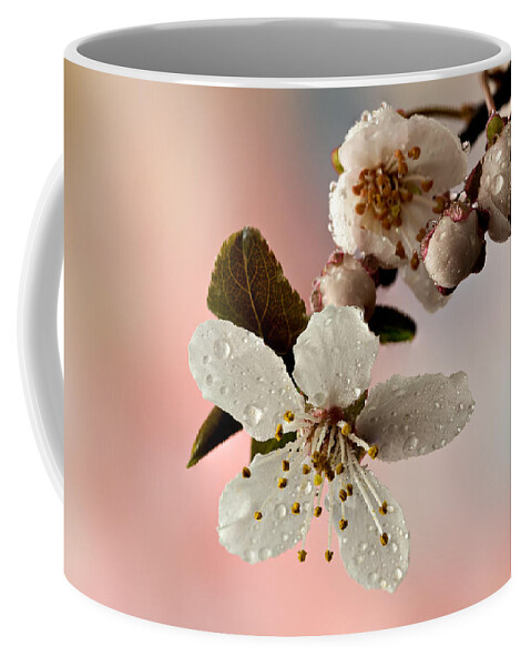 Anther Coffee Mug featuring the photograph Announcing Spring by Mary Jo Allen