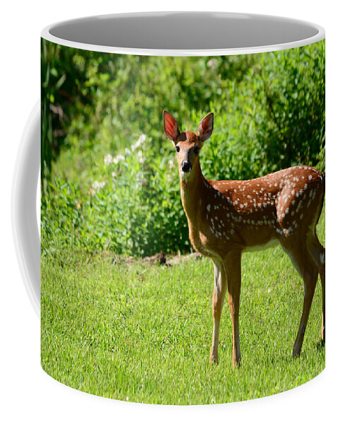 Deer Coffee Mug featuring the photograph Another Reason to Love Spring by Lori Tambakis