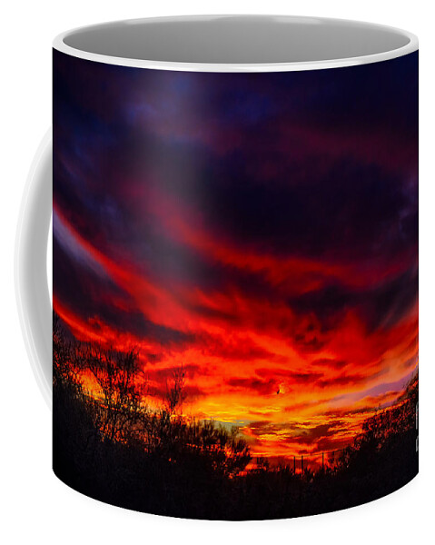 Arizona Coffee Mug featuring the photograph Another Tucson Sunset by Mark Myhaver