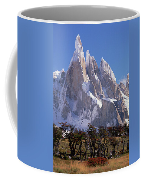 00260485 Coffee Mug featuring the photograph Antarctic Beeches at Cerro Torre by Colin Monteath