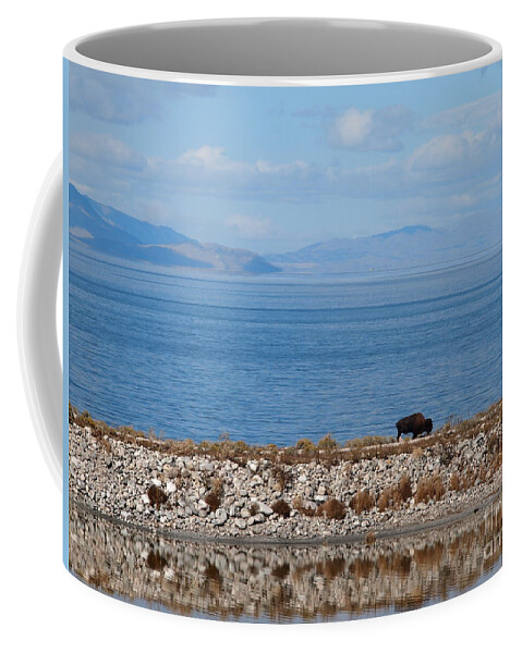 Antelope Island Coffee Mug featuring the photograph Antelope Island by Jennifer Craft