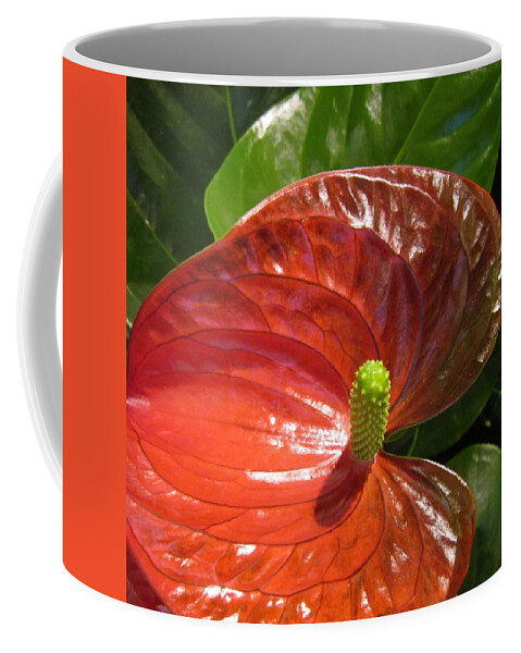 Flowerromance Coffee Mug featuring the photograph Anthurium by Rosita Larsson