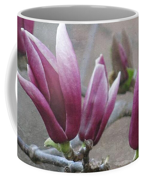 Magnolia Coffee Mug featuring the photograph Anticipation by Leanne Seymour