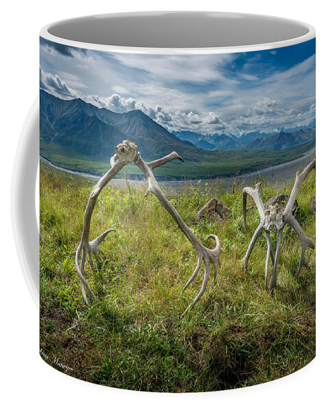 Deer Coffee Mug featuring the photograph Antlers on the Hill by Andrew Matwijec