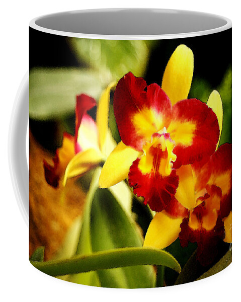 Orchid Coffee Mug featuring the photograph AOS Yellow Orchid 2 by Janis Lee Colon