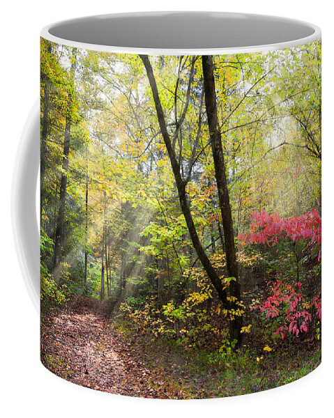 Trail Coffee Mug featuring the photograph Appalachian Mountain Trail by Debra and Dave Vanderlaan
