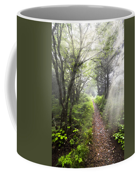 American Coffee Mug featuring the photograph Appalachian Trail by Debra and Dave Vanderlaan