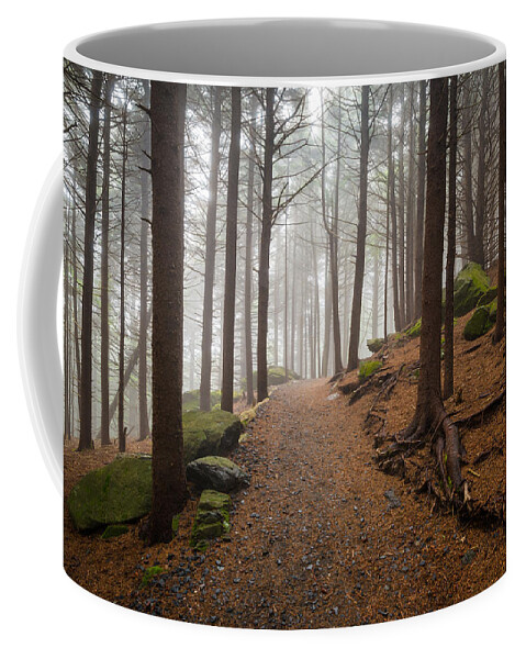 Appalachian Trail Coffee Mug featuring the photograph Appalachian Trail Landscape Photography in Western North Carolina by Dave Allen