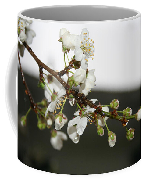 Apple Blossom Coffee Mug featuring the photograph Apple Blossom Buds by Valerie Collins
