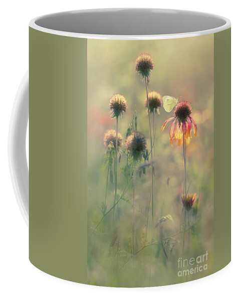 Flowers Coffee Mug featuring the photograph Aquarels by Jaroslaw Blaminsky