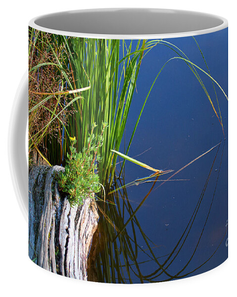 Lakeside Coffee Mug featuring the photograph Arches by Jim Garrison